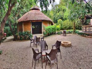 Tiger-Camp-Resort-3