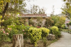 corbett-river-creek (1)