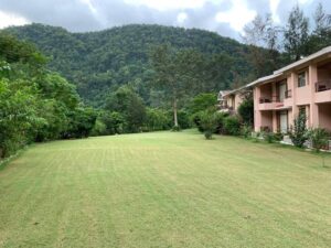 corbett-river-creek (12)