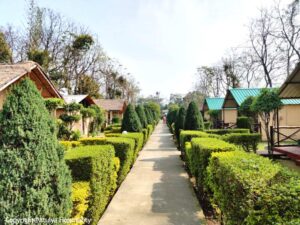 corbett-view-resort (4)