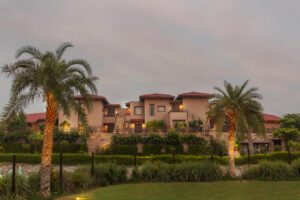 515A9452_processed_by_imagy