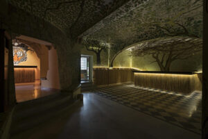 Den (nightclub)_processed_by_imagy
