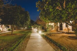 ThePugmark10-1-600x400_processed_by_imagy