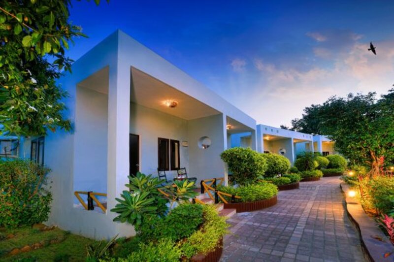 Resorts in Ranthambore 2 WhatsApp Image 2025 05 17 at 15.07.23 1e902c78