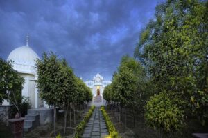gallery7_processed_by_imagy