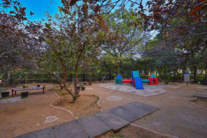 gallery_22_processed_by_imagy