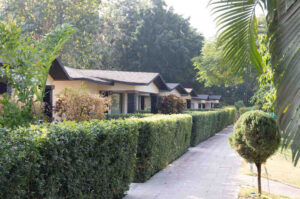 DAP06729_processed_by_imagy