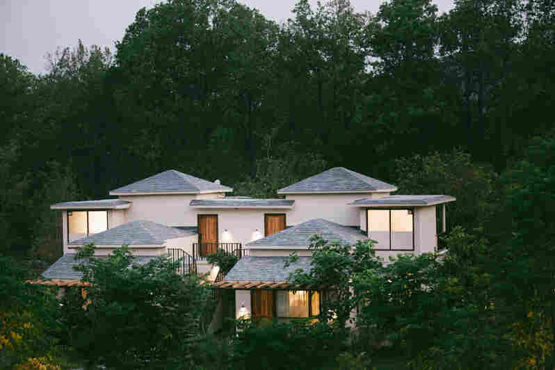 saraca corbett