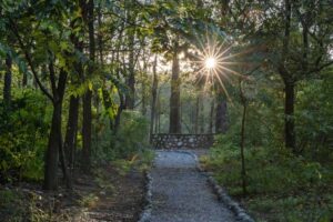 Walking Trail 2 - Gallery_processed_by_imagy