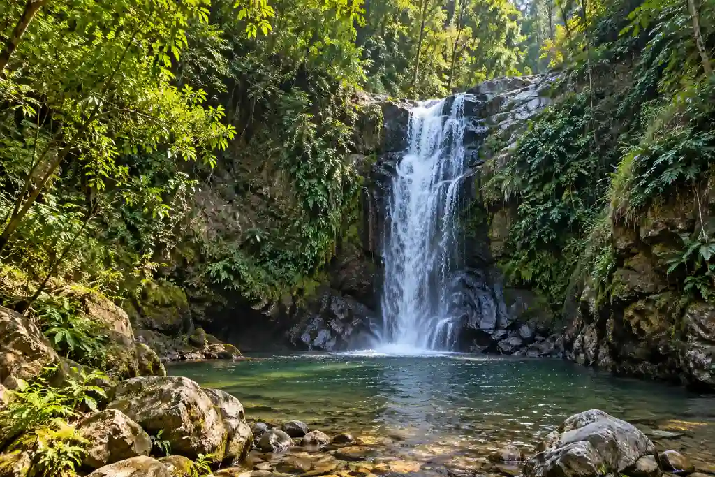 Corbett Water Fall