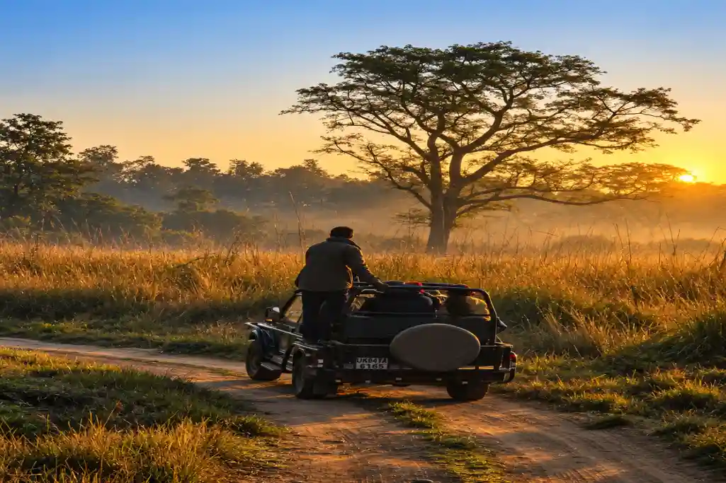 Jeep Safari