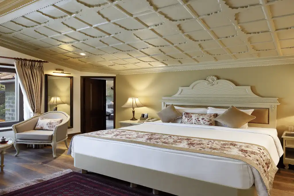 Naini Royal Room