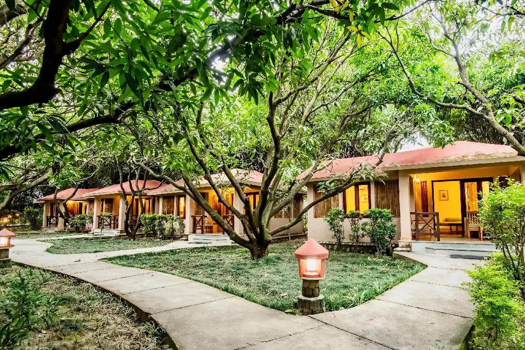 Tiger Camp Resort photo 4