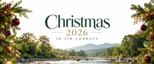 jim corbett christmas packages