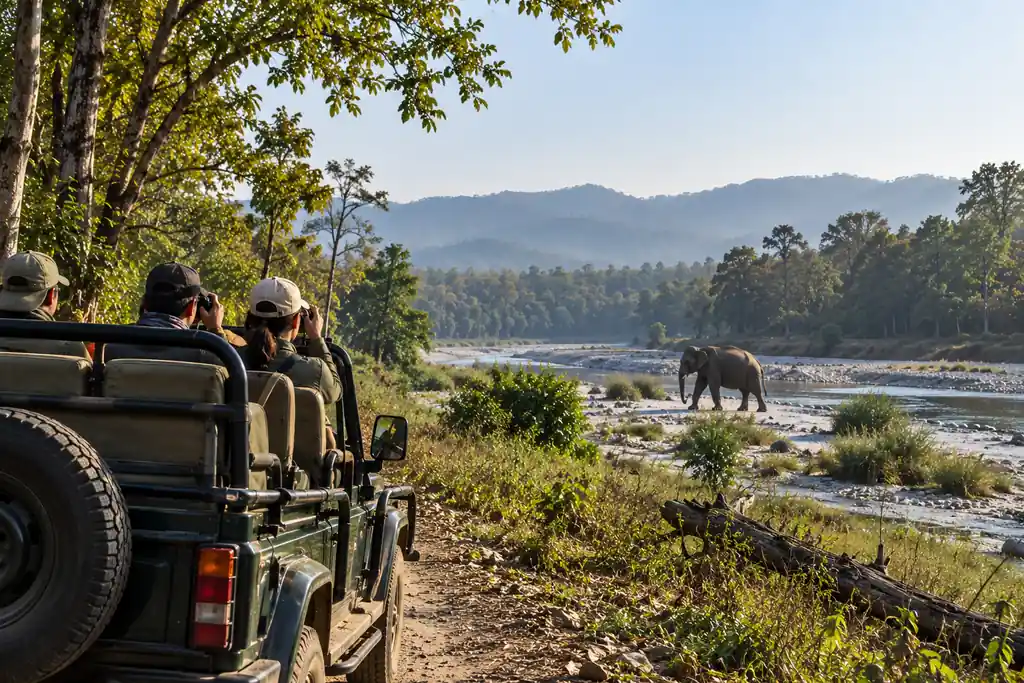 best-safari-zone-in-jim-corbett.webp
