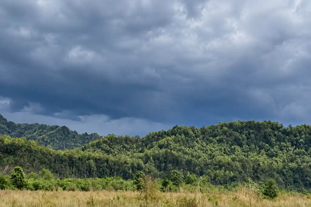 Stay & Safari in Dhikala Zone