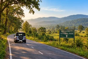 delhi to jim corbett